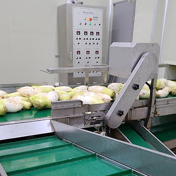 다듬무 검사컨베어