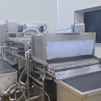 전처리라인 대파세척