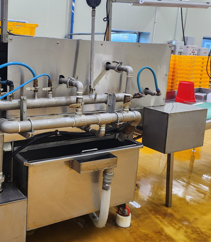 전처리라인 부추세척기2