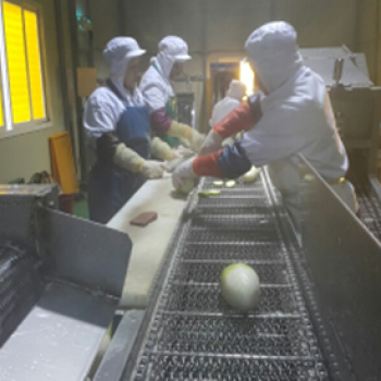 다듬무라인 탈피기