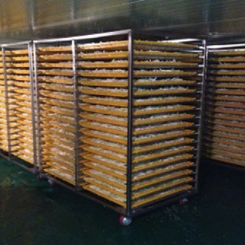 무말랭이라인 세척기