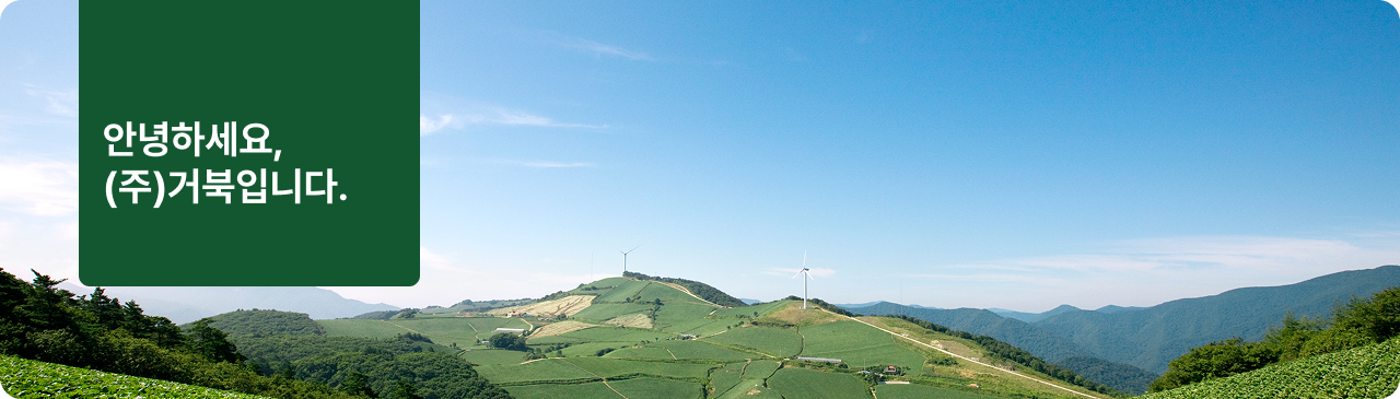 회사 대표 이미지